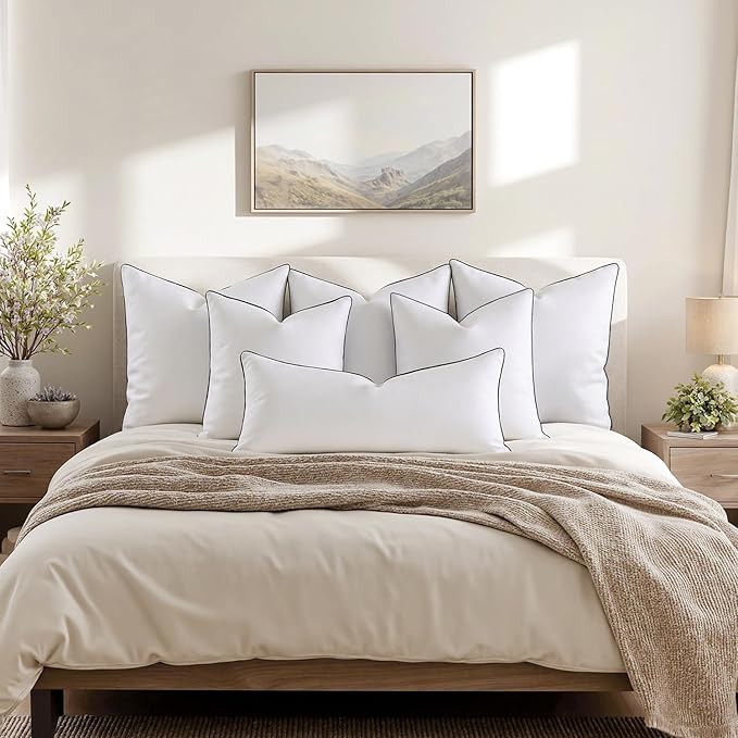 MIULEE Goose Feather Down 26x26 Euro Pillow Insert Set of 2 with 100% Down-Proof Cotton Cover, Soft Fluffy Decorative Pillow for Sofa Bed Couch Living Room White