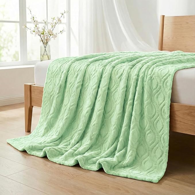 Horaldaily Solid Blanket Throw, Green Accent Farmhouse Neutral Square Euro Soft Fuzzy Plush Faux Fur Cozy Blankets for Couch Sofa Bed Lounging, Ideal Gifts for Kids Adults Wife Self, 50x60