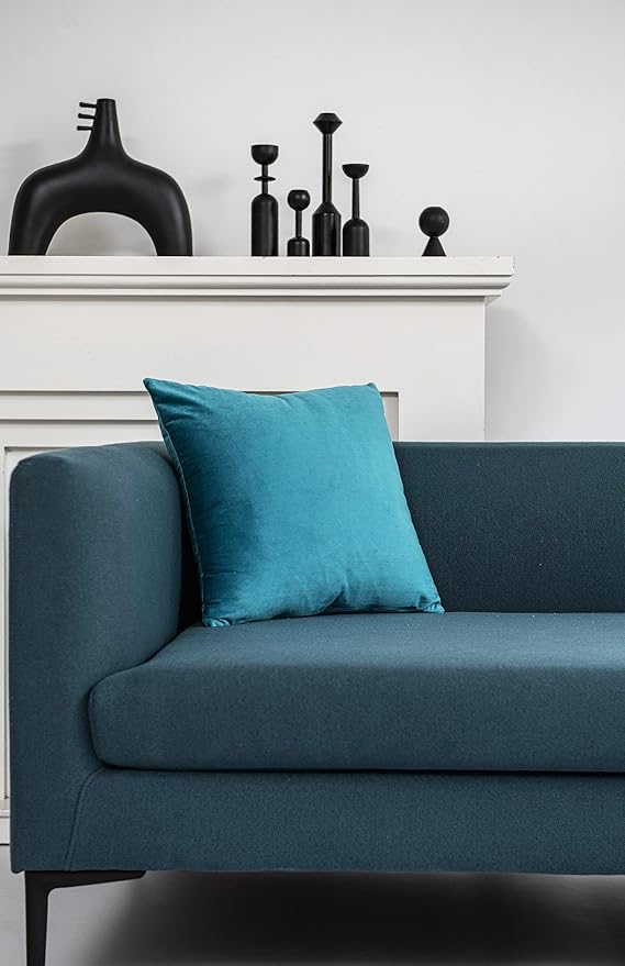 DEZENE Throw Pillow Covers 20x20 Turquoise: Pack of 2 Cozy Soft Velvet Square Modern Luxury Decorative Throw Pillow Cases for Sofa Couch Living Room Bed Home Decor
