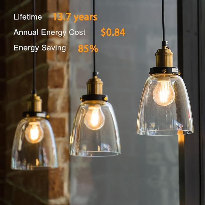 TJOY 12 Pack A19 Vintage LED Edison Bulbs, Dimmable, 60W Equivalent, High Brightness 2700K Warm White, 8W E26 Standard Base, 800 Lumens, CRI80+, Clear Glass Filament Bulb for Home, Farmhouse