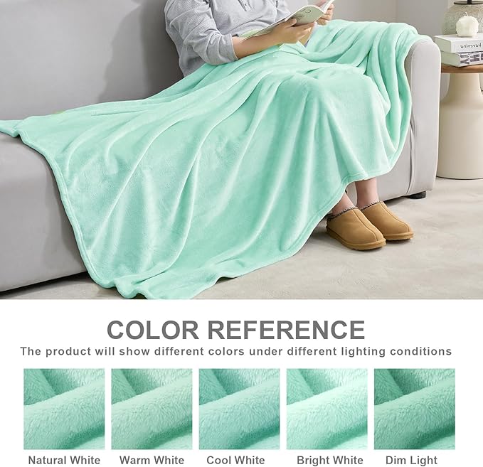 Hansleep Fleece Lake Green Full Blanket, Super Soft Flannel Fuzzy Plush Cozy Blanket for All Seasons, Lake Green, Full 84x90 Inches