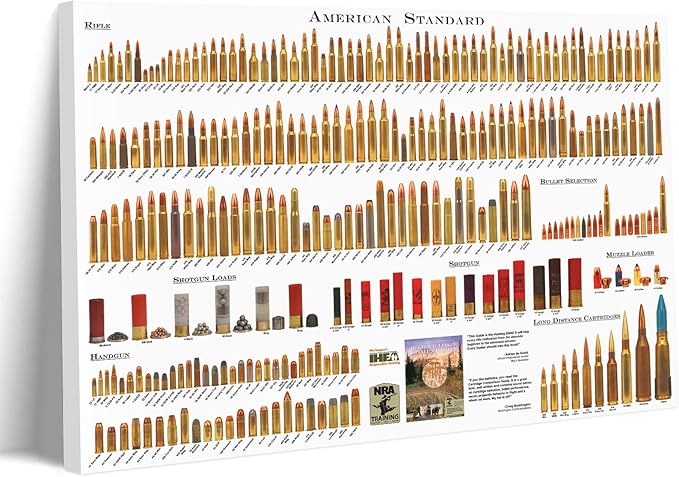 Pennclys American Bullets Wall Art Bullet Chart Poster Canvas Art Prints for Home Room Decor 24x36 Inch Wrapped Canvas