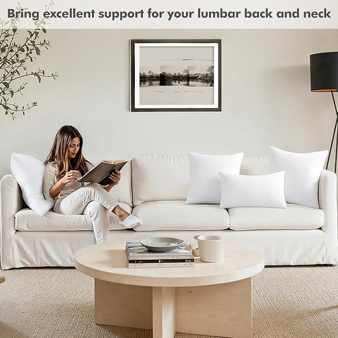 MIULEE 22x22 Inch Throw Pillow Insert Premium Throw Pillow Polyester Microfiber Stuffer Pillow for Sofa Bed Couch