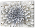 Yihui Arts White Flower Canvas Wall Art Painting, Floral Canvas Pictures Aesthetic Botanical Artwork for Bedroom Living Room Bathroom Decor