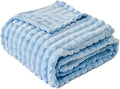 FY FIBER HOUSE Bed Blanket for Couch Soft Warm Fuzzy Queen Size Blankets for Sofa All Season Use, 90x90 Inches, Blue
