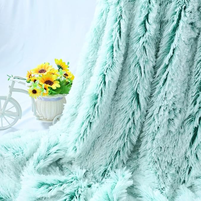 Plush Super Soft Blanket Bedding Sofa Cover Furry Fuzzy Fur Warm Throw Qulit Cozy Couch Blanket for Winter (51"x63",Green and White)