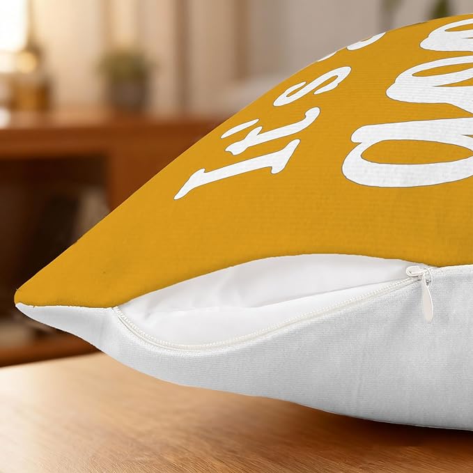 Hexagram Spring Summer Pillow Covers 18x18 Set of 4, Outdoor Floral Daisy Decorative Yellow Throw Pillow Covers, You are My Sunshine Farmhouse Cushion Case for Couch Sofa Indoor Home Decor(No Insert)
