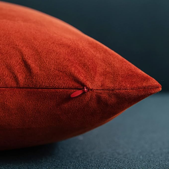 DEZENE Throw Pillow Covers 16x16 Burnt Orange: Pack of 2 Cozy Soft Velvet Square Modern Luxury Decorative Throw Pillow Cases for Sofa Couch Living Room Bed Home Decor