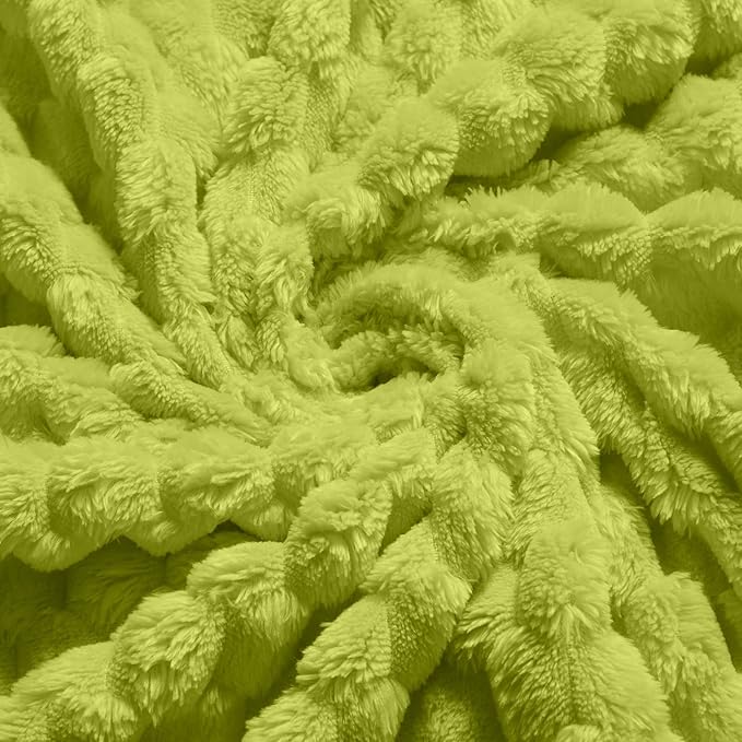 Vessia Flannel Fleece Throw Blanket(50x70 inch), 3D Jacquard Green Fuzzy and Warm Blanket for Couch,Sofa,Bed,Chair, 300GSM Super Soft Touch Cozy Lightweight Throw for All-Season Home Decor