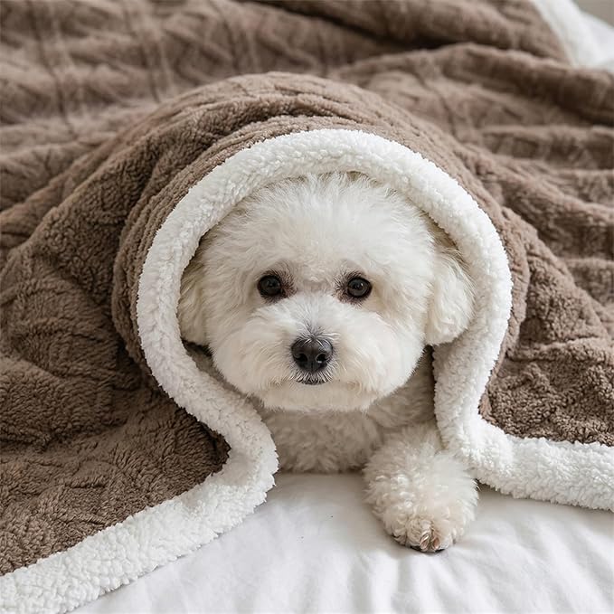 Sherpa Blanket for Bed Full Size - Fleece Soft Cozy Fuzzy Blankets Thick Warm for Winter and All Seasons (Brown, Full(80"x90"))