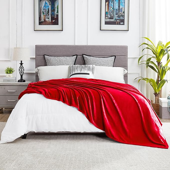 DREAMNINE Ultra Large Soft Fuzzy Flannel Fleece Blanket King Size 90" x 108", Decorative Solid Lightweight Fluffy Velvet Bed Blanket,Luxury Big Cute Cozy Shag Plush Microfiber Blankets for Bedroom,Red