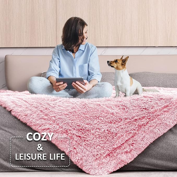 Pawque Blankets Queen Size for Bed - Sherpa Fleece Faux Fur Fluffy Blanket for Women Men, Luxury Super Soft Decorative Throw for Sofa Couch Chair, Bright Pink 90x90 inches