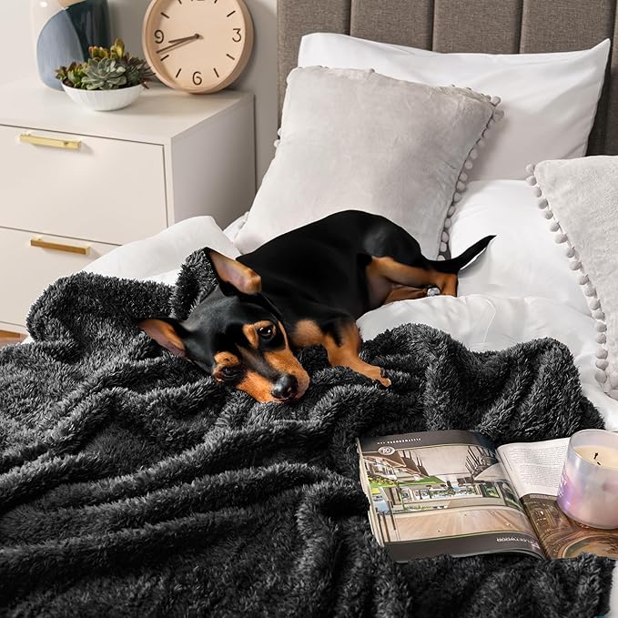 Pavilia Sherpa Bed Blanket King Size, Black Plush Soft Cozy Fluffy Lightweight Microfiber Fuzzy All Season Blanket, 90x108 King