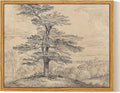 InSimSea Framed Canvas Print Art, Vintage Tree Sketch Landscape Painting, Rustic Farmhouse Cottage Decor for Hallway Wall Floating Shelf Desk Vanity Fireplace,10x8 in, Neutral Tones