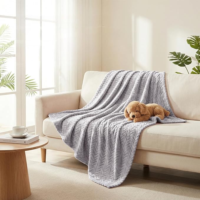 Exclusivo Mezcla Twin Blanket for Bed, Cozy Lightweight Fleece Blankets for All Season, Decorative Giftable Fuzzy Plush Wave Textured Suitable for Women, Men, Light Grey, 90x66 Inches