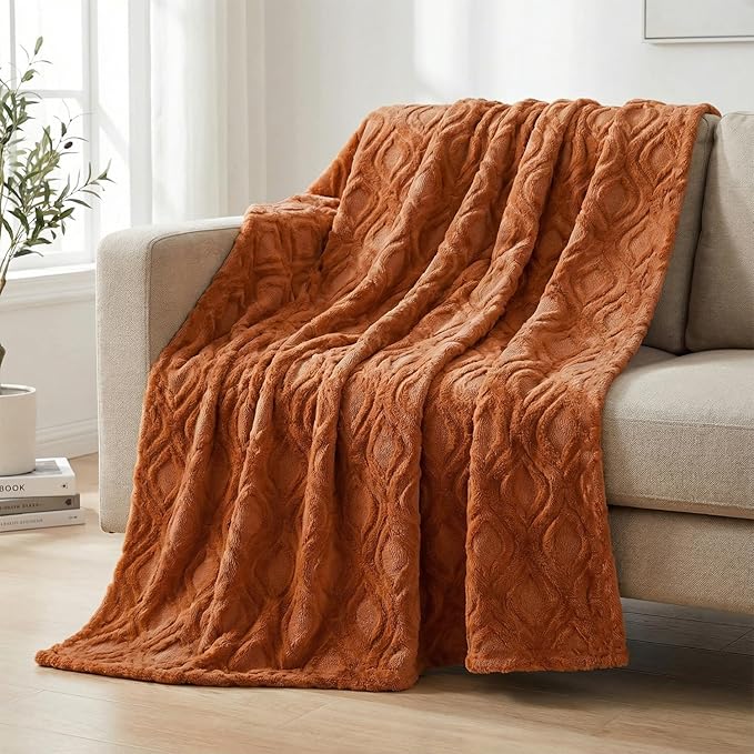 Horaldaily Solid Blanket Throw, Rust Accent Farmhouse Neutral Square Euro Soft Fuzzy Plush Faux Fur Cozy Blankets for Couch Sofa Bed Lounging, Ideal Gifts for Kids Adults Wife Self, 50x60