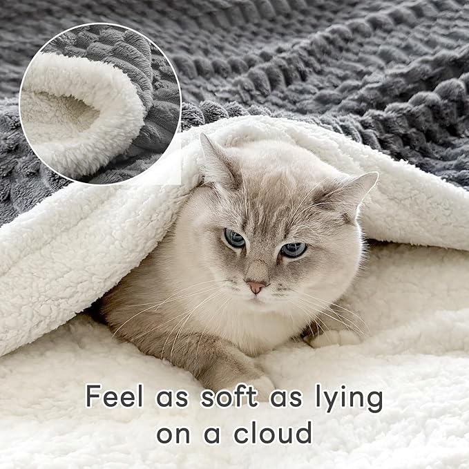 Sherpa Throw Blanket for Couch Flannel Cozy Soft Thick Blanket Warm Twin Blanket for Bed Fleece Home Decor Gifts, Z01 - Gray, 60"*80"