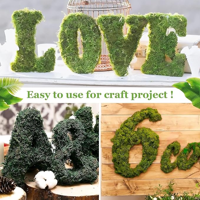 Riare 2.6LBS Artificial Fake Moss for Fake Plants Indoor- Premium Faux Craft Moss for Potted Plant, Fresh Forest Green for Hamsters Micro-Landscape Terrariums Centerpieces Decor