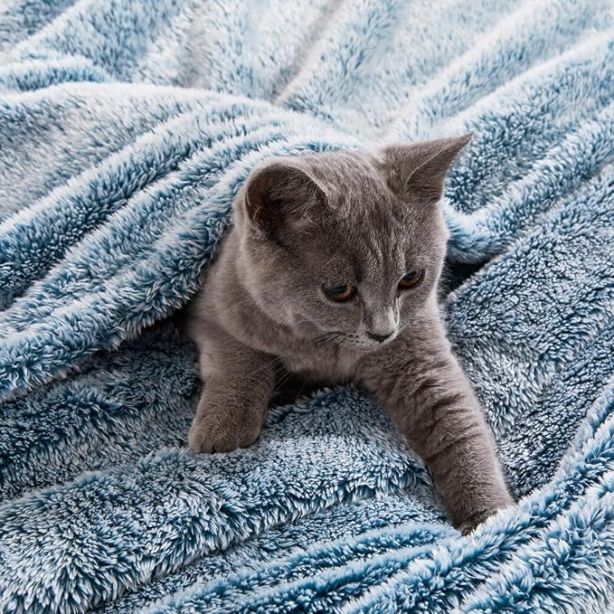 Exclusivo Mezcla Plush Fuzzy Fleece Bed Blanket King Size, Super Soft, Fluffy and Warm Blankets for Couch, Bed, All Season (Mixed Teal, 90x104 inches)