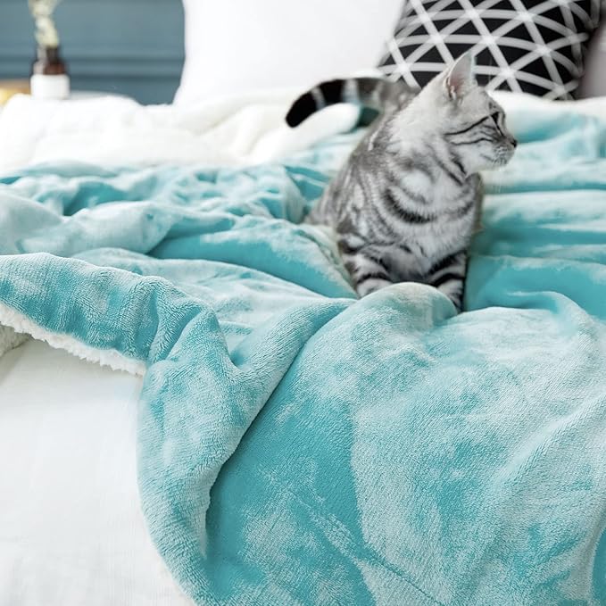 LBRO2M Sherpa Fleece Bed Blanket King Size,Super Soft Fuzzy Plush Warm Cozy Fluffy Microfiber Couch Throw Velvet Double Reversible Luxurious Blankets (Turquoise, King(90x104 Inches))