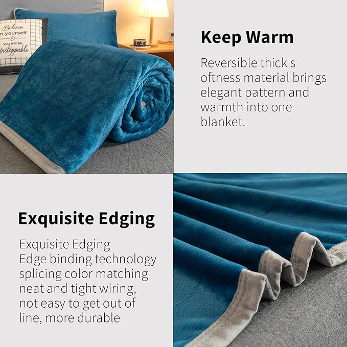 Fleece Bed Blankets Twin Size - Soft Lightweight Plush Fuzzy Cozy Luxury Blanket Microfiber Throw for Couch Bed,All-Season Breathable,60x80 Inches