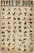 Duck Gifts Types of Duck Vintage Tin Sign for Home Office Farmhouse Man Cave Hunting Room Classroom Wall Art Decor 8x12 Inch (3269)