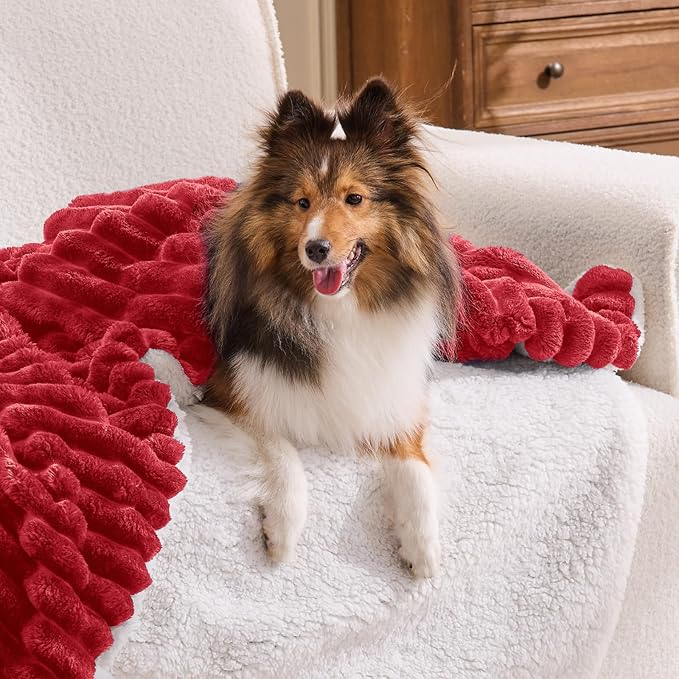 INFIIXSO Sherpa Throw Blanket for Couch - Super Soft & Warm Striped Fleece Blanket, Cozy Plush Fluffy Blanket All Season Use (Red, 50x60 Inches)