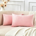 Throw Pillow Covers Pink Set of 2 12x20 Inch Pillow Covers, Soft Velvet Cute Lumbar Decorative Pillowcases for Couch Sofa Bed, Home Boho Decor, Modern Cushion Covers