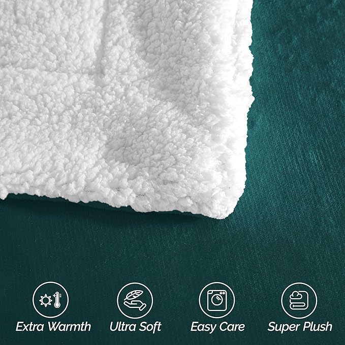 Elegant Comfort Ultra Soft Reversible Flannel Sherpa Blanket - Cozy Silky Fleece Throw for Couch, Bed - Plush Fuzzy Warm Winter Blanket for Gift, Queen, Turquoise