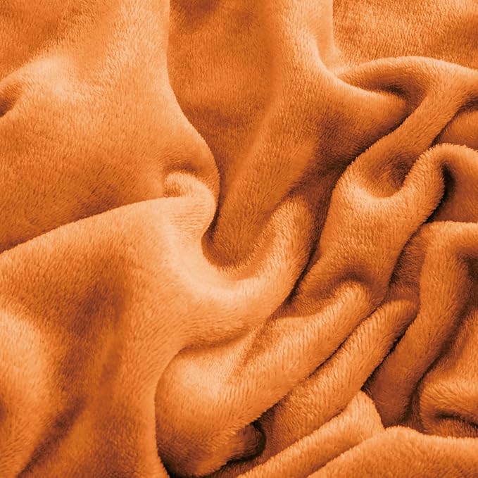 BEDELITE Flannel Sheets Twin Size Burnt Orange - Super Soft Fall Fleece Sheets Set Fluffy Extra Plush, 3 Piece(Include Fitted Sheet, Flat Sheet, 1 Pillowcase)