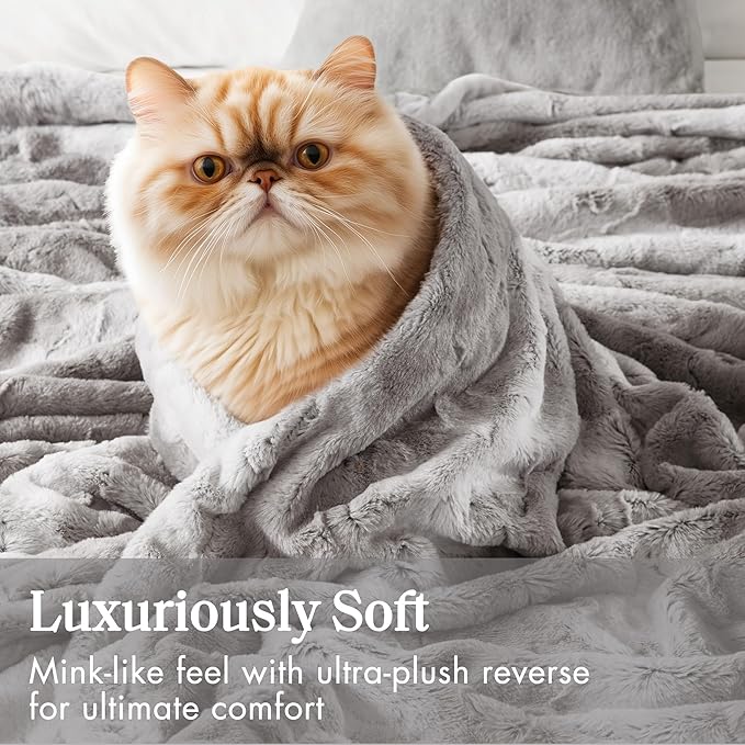 Madison Park Ultra-Soft Poly Fur Blanket Queen Size, Reversible Plush, All Season & Lightweight Queen Fuzzy Blanket for Bed, Couch & Sofa, Zuri, Full/Queen Grey
