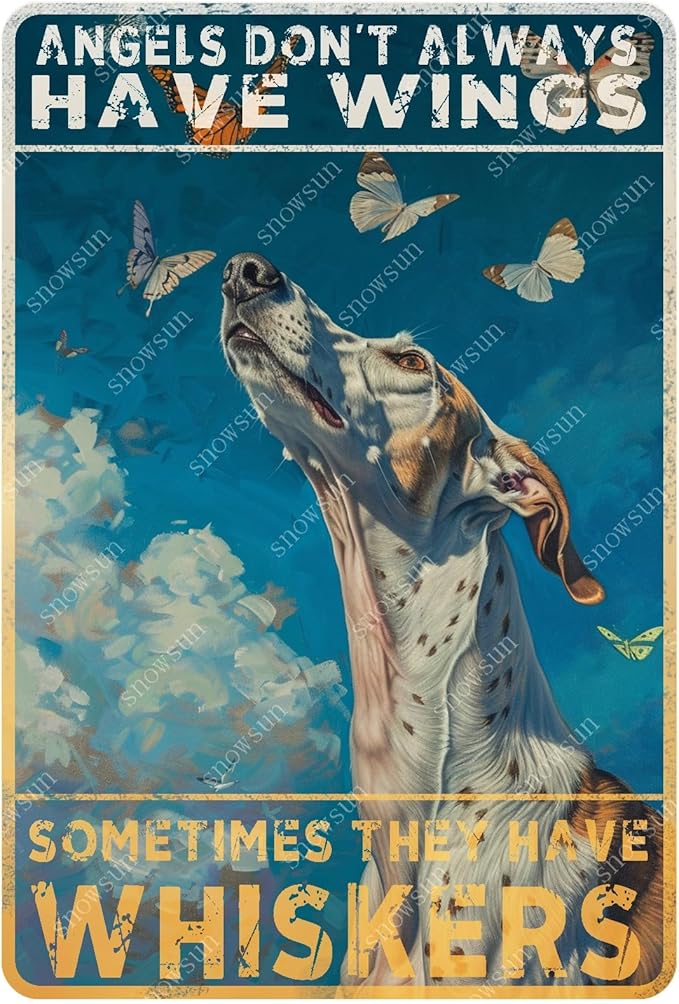 snowsun Vintage Metal Signs Greyhound Dog Angels don't Always Have Wings Sometimes They Have Whiskers Funny Tin Sign Wall Decor for Living Room Bedroom Garden Yard Bar Cafe 8×12 Inches