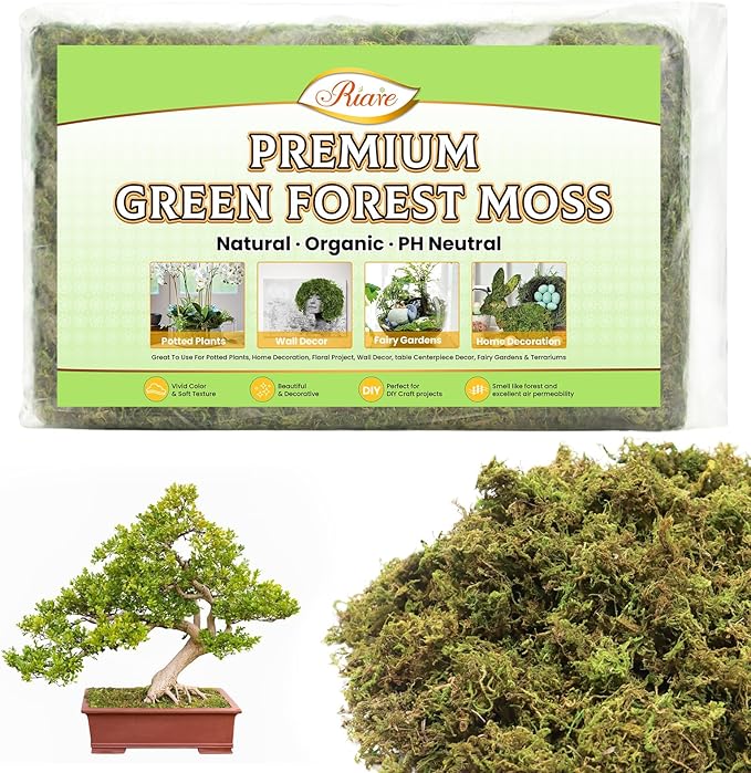 Riare 7OZ Artificial Fake Moss for Fake Plants Indoor- Premium Faux Craft Moss for Potted Plant, Fresh Forest Green for Hamsters Micro-Landscape Terrariums Centerpieces Decor