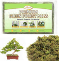 Riare 7OZ Artificial Fake Moss for Fake Plants Indoor- Premium Faux Craft Moss for Potted Plant, Fresh Forest Green for Hamsters Micro-Landscape Terrariums Centerpieces Decor