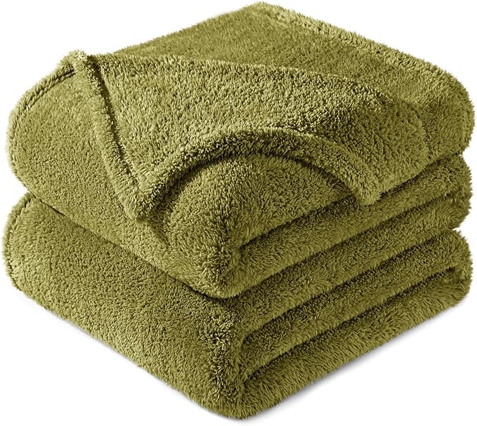 Exclusivo Mezcla Queen Size Blanket for Bed, Super Soft Velvet Plush Fleece Blankets, Fuzzy Cozy and Warm for Winter, 90x90 Inches, Olive Green