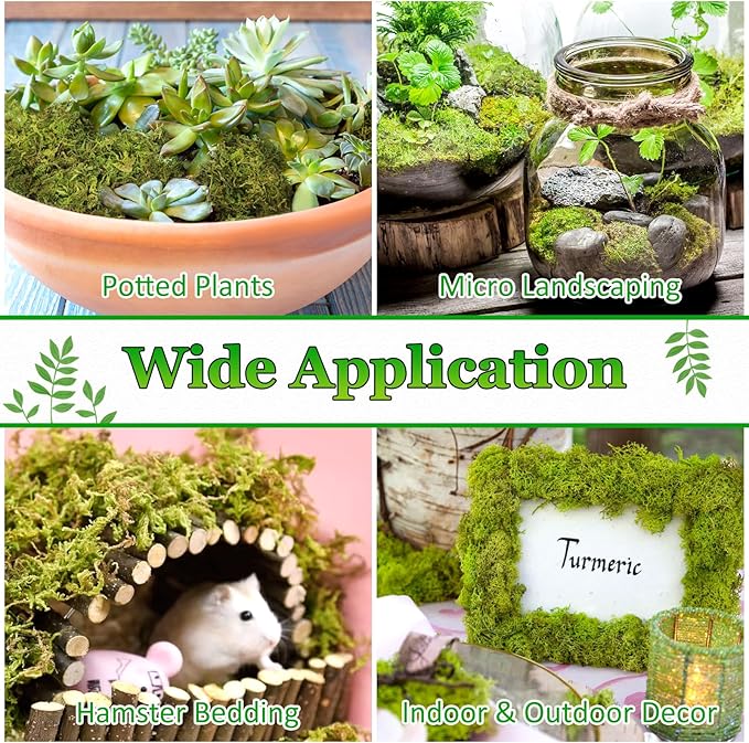 Riare 7OZ Artificial Fake Moss for Fake Plants Indoor- Premium Faux Craft Moss for Potted Plant, Fresh Forest Green for Hamsters Micro-Landscape Terrariums Centerpieces Decor