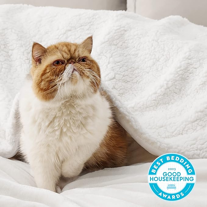 Bedsure GentleSoft Sherpa Fleece Blanket Queen Size for Bed, Non-Heated, Thick and Warm Throw for Women and Men, Soft Fuzzy Plush Queen Blanket for Winter, White, 90x90 Inches