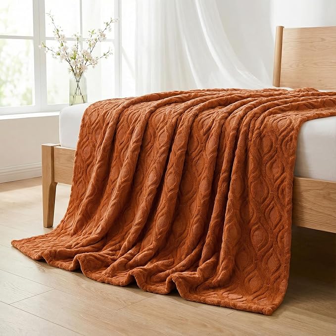 Horaldaily Solid Blanket Throw, Rust Accent Farmhouse Neutral Square Euro Soft Fuzzy Plush Faux Fur Cozy Blankets for Couch Sofa Bed Lounging, Ideal Gifts for Kids Adults Wife Self, 50x60