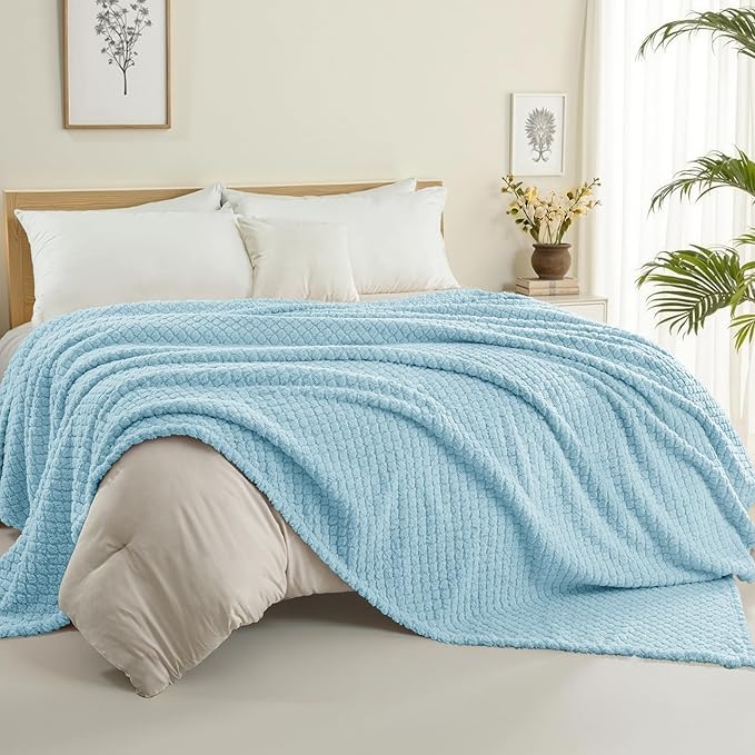 Exclusivo Mezcla Twin Size Fleece Blanket for Bed, Extra Soft Warm Decorative Fuzzy Blanket for Women, Lightweight Cozy Bedding Blankets, 60x80 Inches, Light Blue