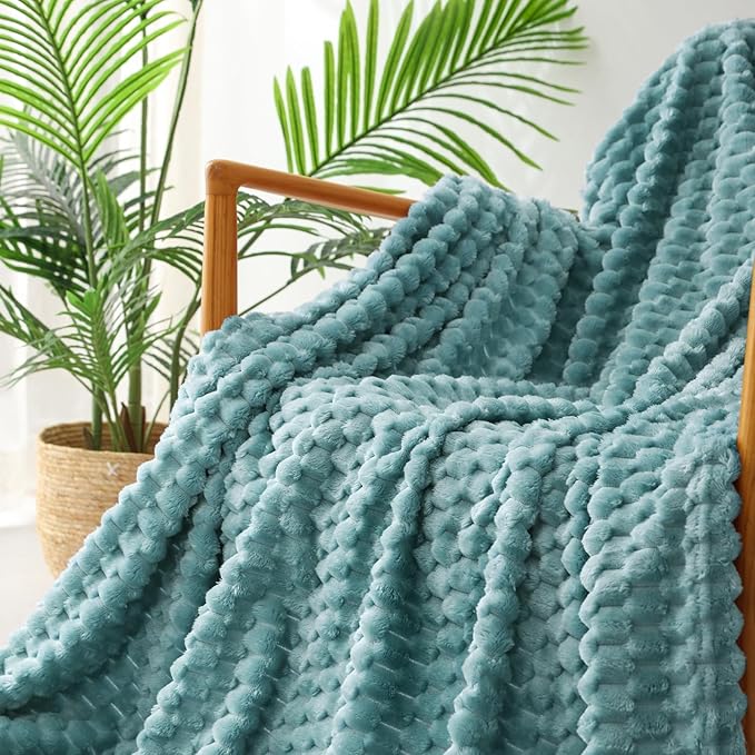 Exclusivo Mezcla Fleece Twin Blanket for Bed, Extra Large Fuzzy Celadon Bed Blankets, Soft Cozy Plush Sofa Throws for All Seasons, 60x80 Inches