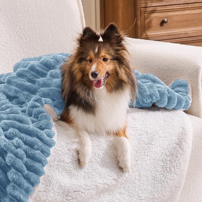 INFIIXSO Sherpa Throw Blanket for Couch - Super Soft & Warm Striped Fleece Blanket, Cozy Plush Fluffy Blanket All Season Use (Light Blue, 60x80 Inches)