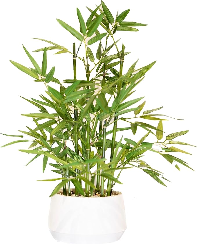 365 Blooming Decor 18 inch Tall White Potted Artificial Bamboo Plant- Luxury Artificial Bamboo Tree in White Pot for Home, Office, Kitchen, Counter Top, Indoor Decor, Money Tree, Lucky Tree.