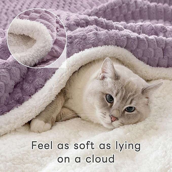 Sherpa Throw Blanket for Couch Flannel Cozy Soft Thick Blanket Warm Twin Blanket for Bed Fleece Home Decor Gifts, Z01 - Purple, 60"*80"