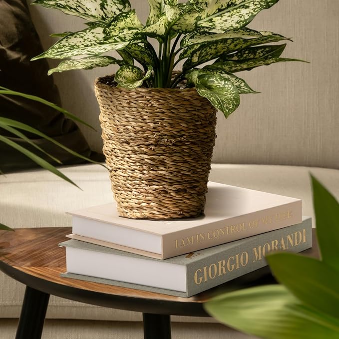 Aesthetic Decorative Books - Set of 2 Fake/Faux Book Box for Coffee Table Entryway Dining Room Bookshelf Console Bedside Decor, Book Decor Aesthetic for Decorative Keepsake Box & Photo Storage