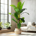 6FT Artificial Banana Tree Tall Fake Banana Leaf Plant Faux Banana Silk Tree Faux Banana Leaves for Home Swimming Pool Indoor Outdoor Patio Tropical Decor