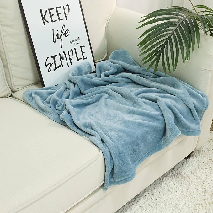 NANPIPER Baby Blankets, Super Soft Fleece Fuzzy Blanket for Toddler, Luxury Cozy Lightweight Microfiber Plush Blanket-Throw Size 30"x40",Light Blue