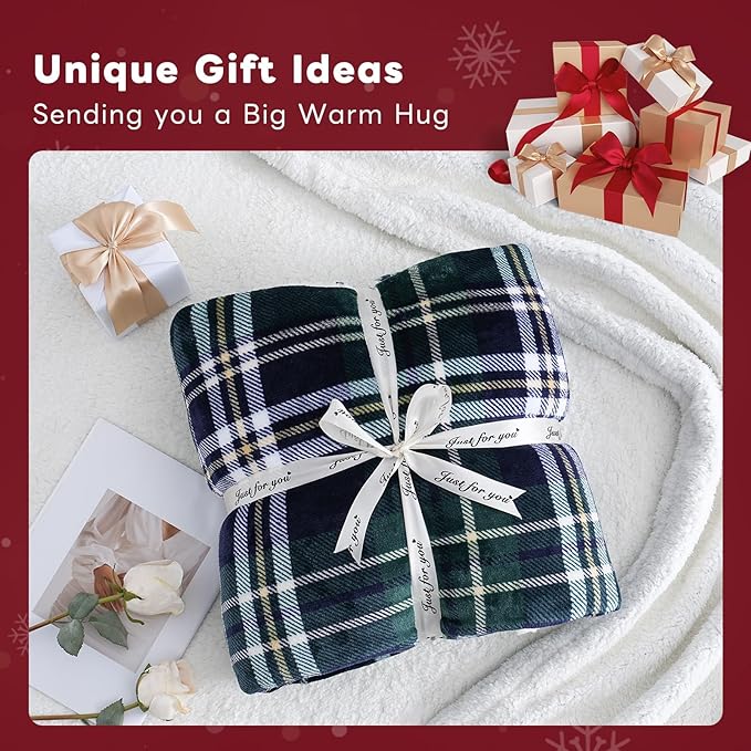 Sherpa Fleece Throw Blanket for Couch, Fluffy Plush Warm Fuzzy Blanket for Women and Men, Cozy Thick Soft Twin Blanket for Bed (Green-Soft Blue, 60"*80")