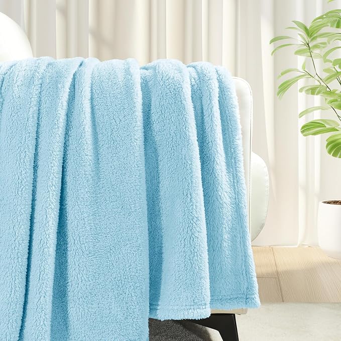 Exclusivo Mezcla Queen Size Blanket for Bed, Super Soft Velvet Plush Fleece Blankets, Fuzzy Cozy and Warm for Winter, 90x90 Inches, Light Blue