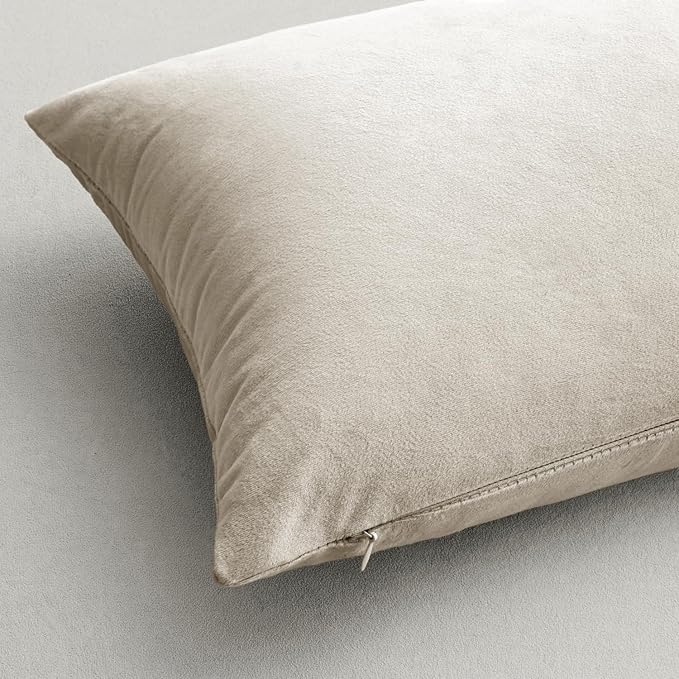 MIULEE Velvet Throw Pillow Covers 12x12 Inch, Pack of 2 - Cream White, Soft Solid Small Decorative Pillow Covers Modern Luxury Home Decor for Spring Couch Sofa Chair Bedroom Livingroom Car