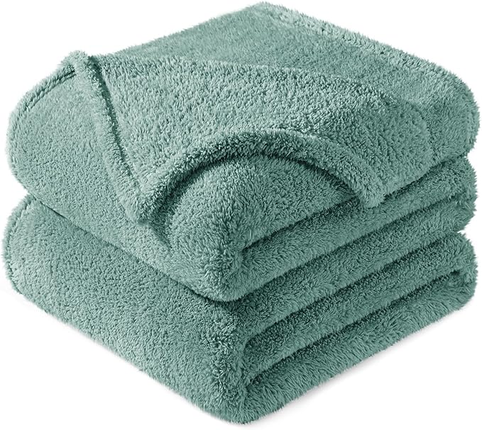 Exclusivo Mezcla Queen Size Blanket for Bed, Super Soft Velvet Plush Fleece Blankets, Fuzzy Cozy and Warm for Winter, 90x90 Inches, Celadon